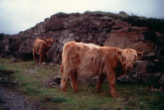 Isola di Skye