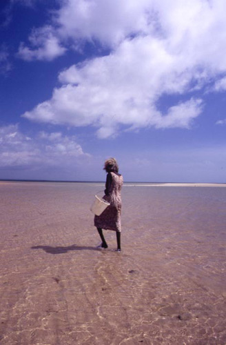 Melville Island