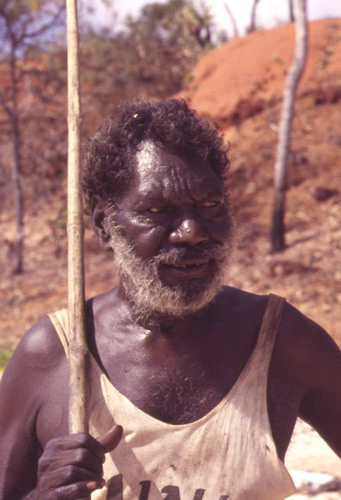 Pescatore Tiwi
