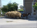 Bulgaria - Rila