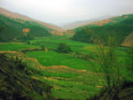 Xishuanbanna terrazzamenti