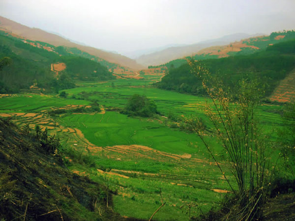 Xishuanbanna, terrazzamenti